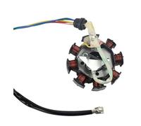 Bobine Stator Générateur Per elettrico moto per CG125 gruppo bobina statore generatore magnete 8 poli per pezzi di ricambio