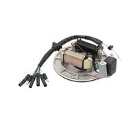 Bobine Stator Générateur Piastra magnete statore 2 bobina per DC6-01B per la maggior parte dei motori senza avviamento elettrico 70cc 90cc 110cc 125cc motore SSR