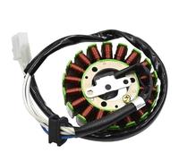 Bobine Statore Compatibile Con TTR250 1999 2000 2001 2002 2003 2004 2005 2006 Per TT250R RAID 1994 1995 1996 Cavi Bobina Moto Statore Magneto 4GY-81410-02-00