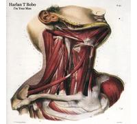 Bobo Harlan T. - I'M Your Man