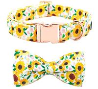 Bobo Rainbow Collare per cani primaverili - Collare per cani girasole fiocchi per cani papillon Collare per cani regolabile Collare per cani per ragazze e cani di taglia XS