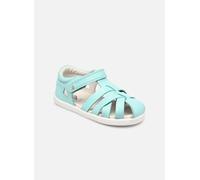 Bobux - Tropicana II Blu - Sandali e scarpe aperte 26 Blu