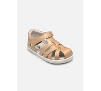 Bobux - Tropicana II Oro e bronzo - Sandali e scarpe aperte 24 Oro e bronzo