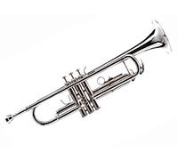 Bocchetta per la vendita in nichel + color ottone con custodia e bocchino per Tromba