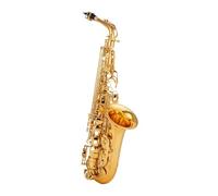 Bocchino Per Sax Professionale Con Chiave Dorata Per Sassofono Contralto Con Custodia E Accessori (Color : 01)