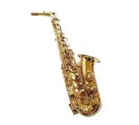 Bocchino Per Sax Professionale Con Chiave Dorata Per Sassofono Contralto Con Custodia E Accessori (Color : 02)
