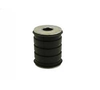 FAST FT13704 Supporto, Molla a balestra