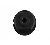 Boccola balestra Assale posteriore FT18084 FAST per FORD TRANSIT V363 Furgone