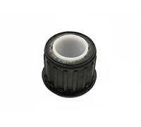 FAST FT13711 Supporto, Molla a balestra