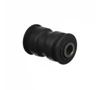 DELPHI TD1143W Supporto, Molla a balestra