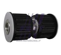 Boccola balestre Assale posteriore Gomma/Metallo FT18395 FAST per PEUGEOT FIAT