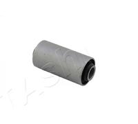 ASHIKA GOM-5020 Bronzina cuscinetto, Molla a balestra
