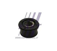 Boccola barra stabilizzatrice Assale anteriore bilaterale FT18462 FAST