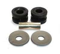 ASHIKA Bronzina cuscinetto Barra stabilizzatrice GOM-115 Posteriore, inferiore
