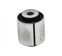Supporto, Braccio oscillante Assale posteriore per BMW 5 6 7 X5