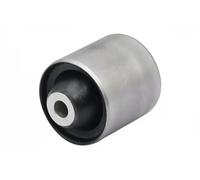 GSP 517758 Supporto, Braccio oscillante per BMW
