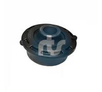 Boccola braccio oscillante Assale anteriore bilaterale 017-00513 RTS per CITROËN
