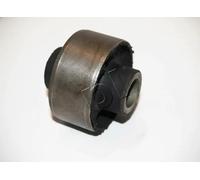 JAPKO GOJD05 Supporto braccio oscillante