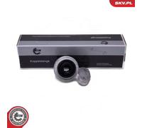 ESEN SKV Supporto braccio oscillante