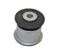 RTS 017-00720 Supporto braccio oscillante