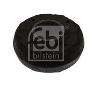 Boccola braccio oscillante Assale anteriore inferiore 06170 FEBI BILSTEIN