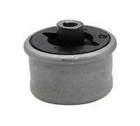 Boccola braccio oscillante Assale anteriore inferiore 516463 GSP per FORD JAGUAR