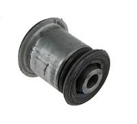 Boccola braccio oscillante Assale anteriore inferiore ZTP-DW-043A NTY per OPEL