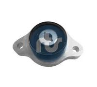 RTS 017-00557-251 Supporto braccio oscillante