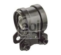 Boccola braccio oscillante Assale anteriore Sx Supporto idraulico 103177