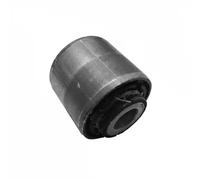 RTS 017-00869 Supporto braccio oscillante