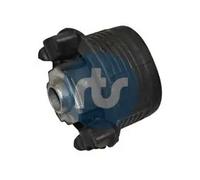 RTS 017-00788 Supporto braccio oscillante