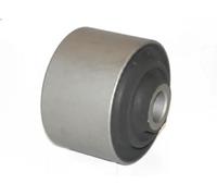 JAPKO Supporto Supporto braccio oscillante GOJ514 Assale post. bilaterale, 60 16