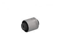 Boccola braccio oscillante Assale post. bilaterale GOM-5111 ASHIKA