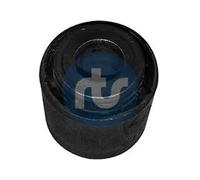 RTS 017-01317 Supporto braccio oscillante
