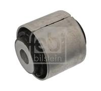 Boccola braccio oscillante Assale posteriore Sx Cuscinetto gomma-metallo 40494