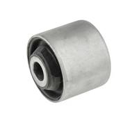 Presa Braccio Oscillante Adatto per Mitsubishi Pajeropinin H6/H7 99-05/
