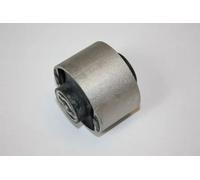 AUTOMEGA 110178810 Supporto, Braccio oscillante per OPEL