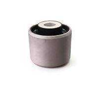 Boccola braccio oscillante inferiore B19112 Borsehung per AUDI A4 B9 A4 B9 Avant