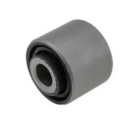 Presa Braccio Oscillante Adatto A per Ford Focus I/II 98-07, Max Cap / CB3