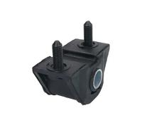 REINHOCH RH14-2066 Supporto braccio oscillante