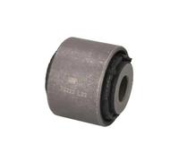 REINHOCH RH15-0019 Supporto braccio oscillante