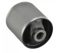 Delphi Boccola braccio di controllo TD1116W Silentblock per Range Rover Sport / Discovery
