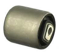 DELPHI TD1244W Supporto braccio oscillante