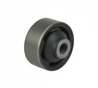 DELPHI TD1621W Supporto braccio oscillante