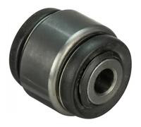 DELPHI TD1700W Supporto braccio oscillante