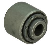 DELPHI TD1717W Supporto braccio oscillante