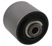 Boccola braccio oscillante TD1867W DELPHI per MERCEDES-BENZ CLS
