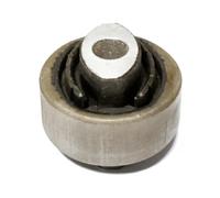 TD359W Supporto braccio oscillante Posteriore Delphi