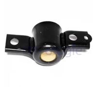 Delphi Supporto braccio oscillante TD370W Posteriore