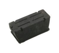 Boccola cuscinetto, molla a balestra FEBI BILSTEIN 34966